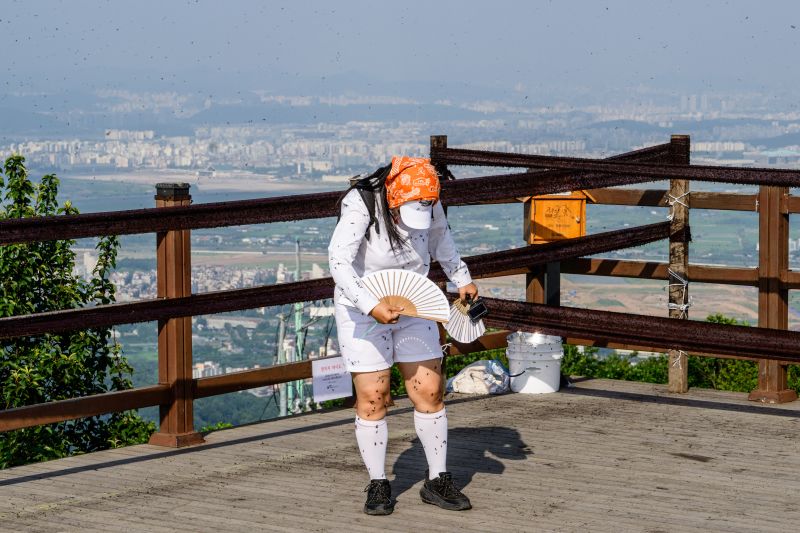 What is happening in South Korea? Seoul has caught the lovebug that nobody wants