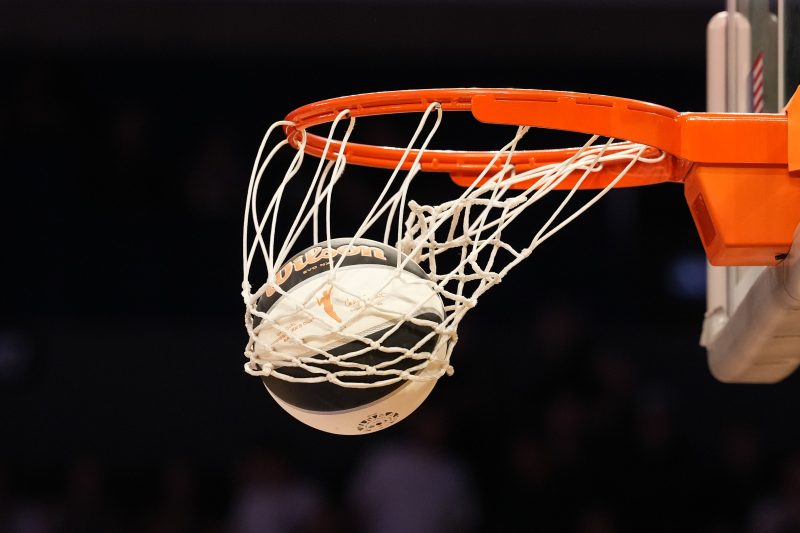 Fan accused of throwing sex toy on WNBA court faces multiple charges