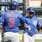 Chicago Cubs back in MLB playoffs for first time in five years