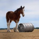Best Super Bowl commercials from 2025: Watch last year’s top 10 ads